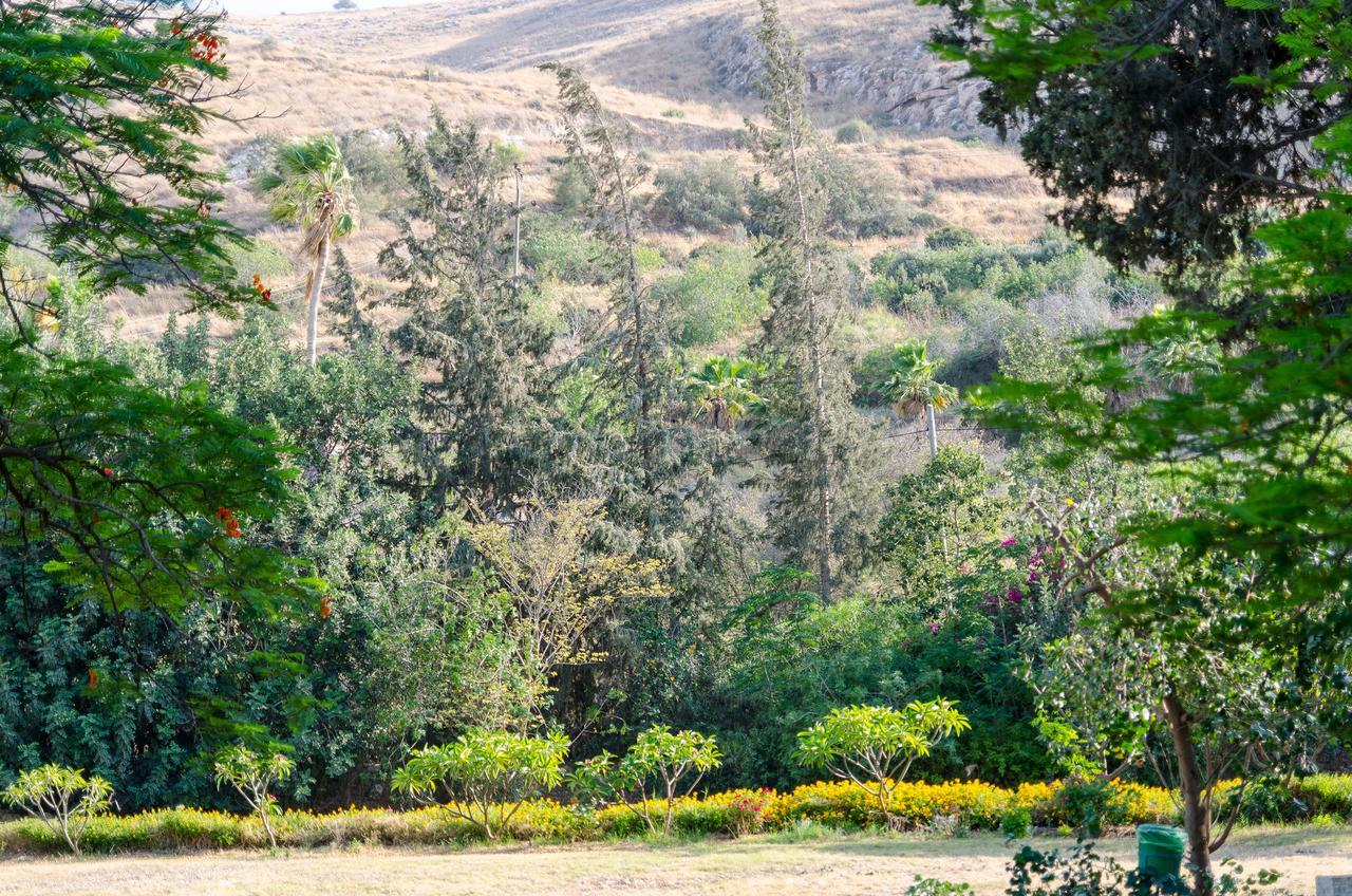 Bait Alfa Kibbutz Country Lodging Bet Alfa Phòng bức ảnh